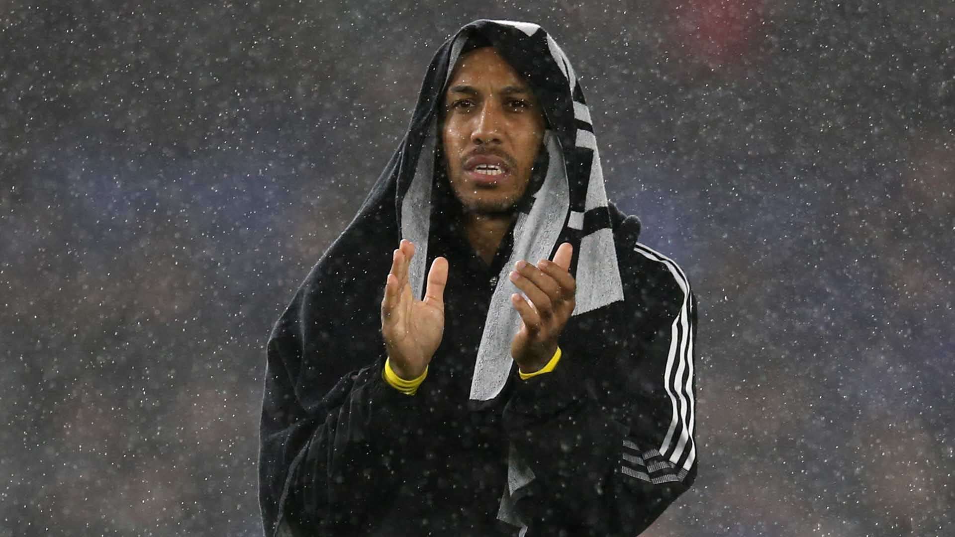 凯恩的成功 凯恩的成功